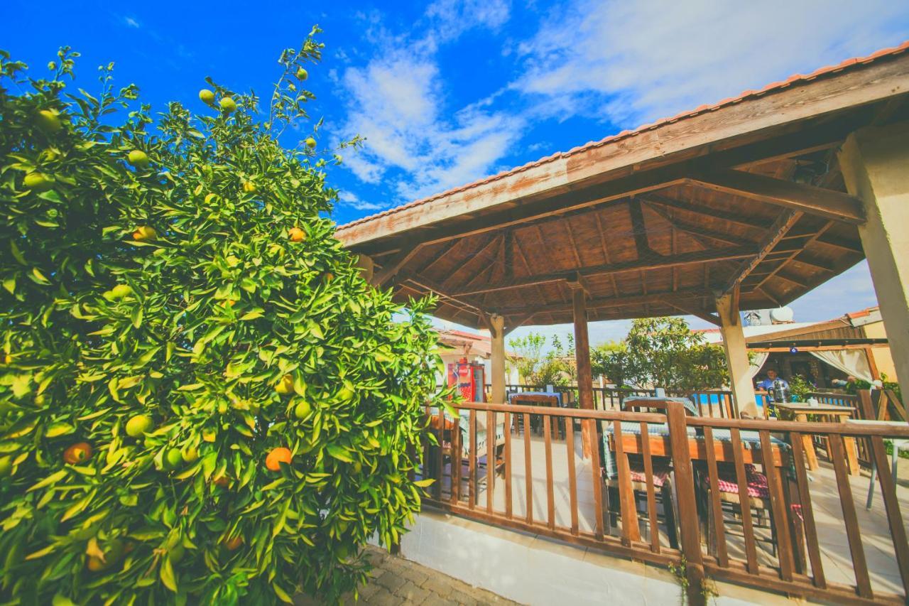 Castle Karpasia Guest House Authentic Atmosphere ! Rizokarpaso Bagian luar foto